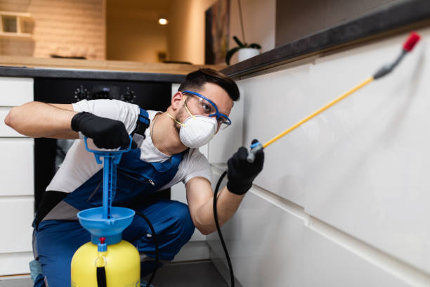 Best Pest Control Near Me  in Oxnard, CA