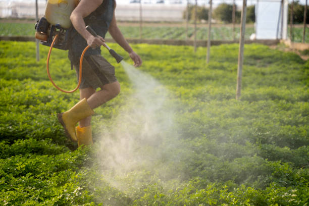 Best Mosquito Control Services  in Oxnard, CA
