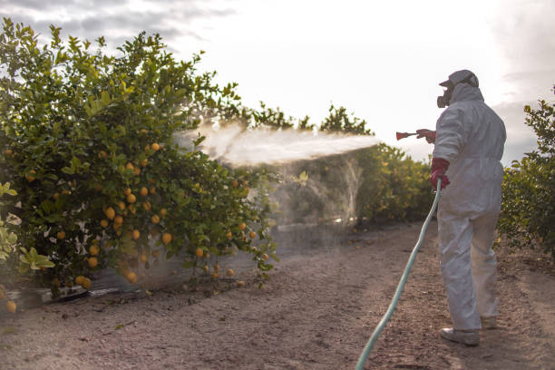 Best Emergency Pest Control  in Oxnard, CA