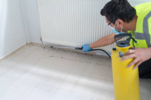 Best Cockroach Control Services  in Oxnard, CA
