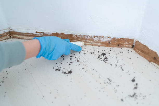 Best Bed Bug Extermination  in Oxnard, CA