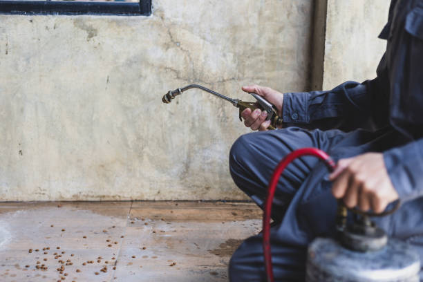 Best Pest Inspection Near Me  in Oxnard, CA